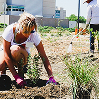 women planting a california native at uc davis