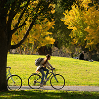 uc davis student riding bikes on campus