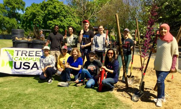 Tree Campus USA planting crew