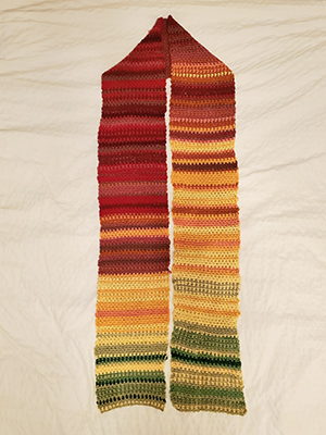 Scarf representing the daily temperatures of Davis throughout the year