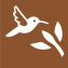 icon with hummingbird. and plant