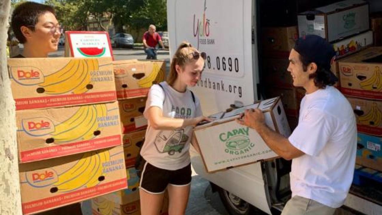 Food Recovery Network volunteers unload leftover food from the Davis Farmers Market