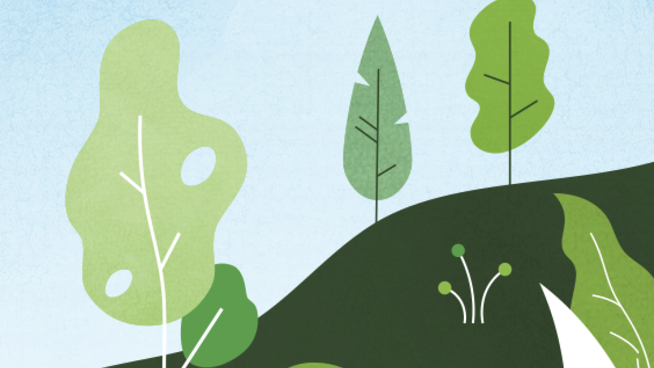 Illustration of trees