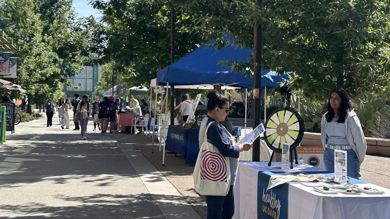 Visitors enjoying the UC Davis Farmer's Market