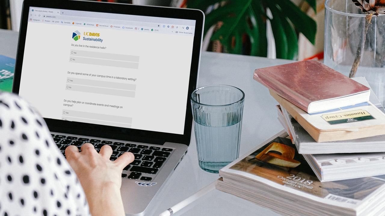 Image of a person filling out the UC Davis Sustainability Culture Survey on a laptop at a desk with their back to the camera.