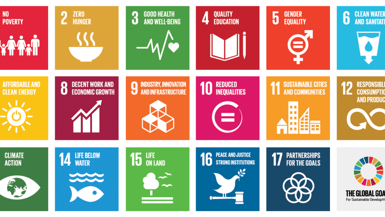 17 UN Sustainable Development Goals