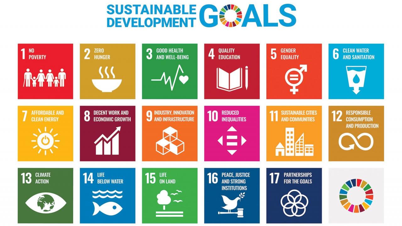 Image of U.N. Sustainable Development Goal logo and icons.