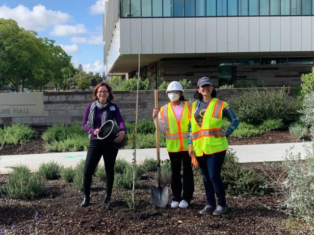 Three women with shovels in garden in front of building UC Davis Health campus
