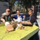 Three smiling students sorting waste at a CoHo waste audit. 