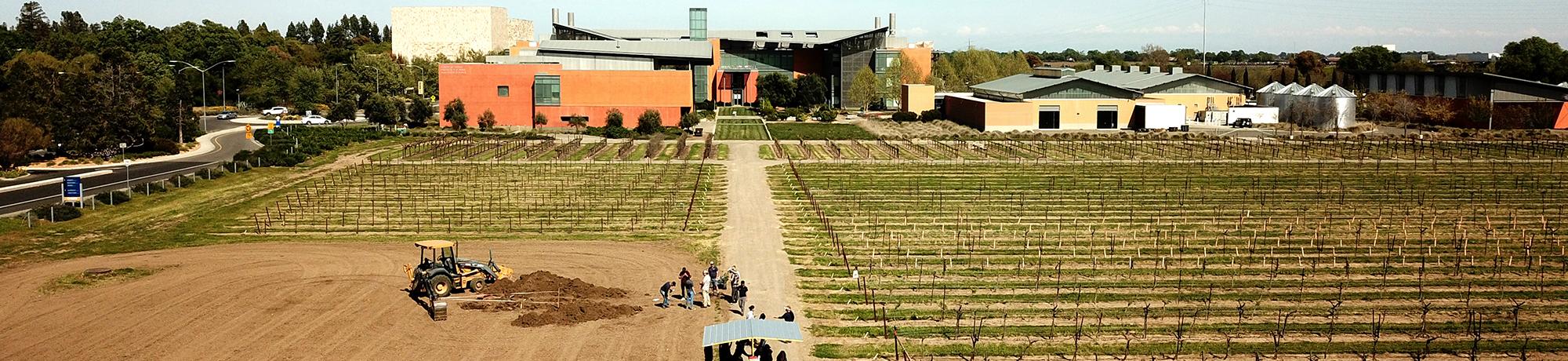 uc davis campus vineyard aerial photo