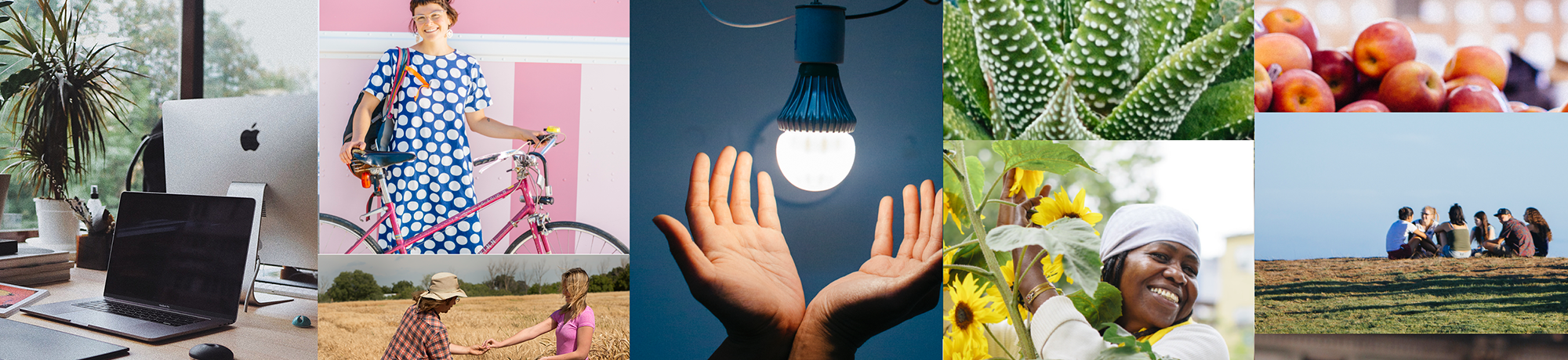 collage of sustainability imagery on cmapus