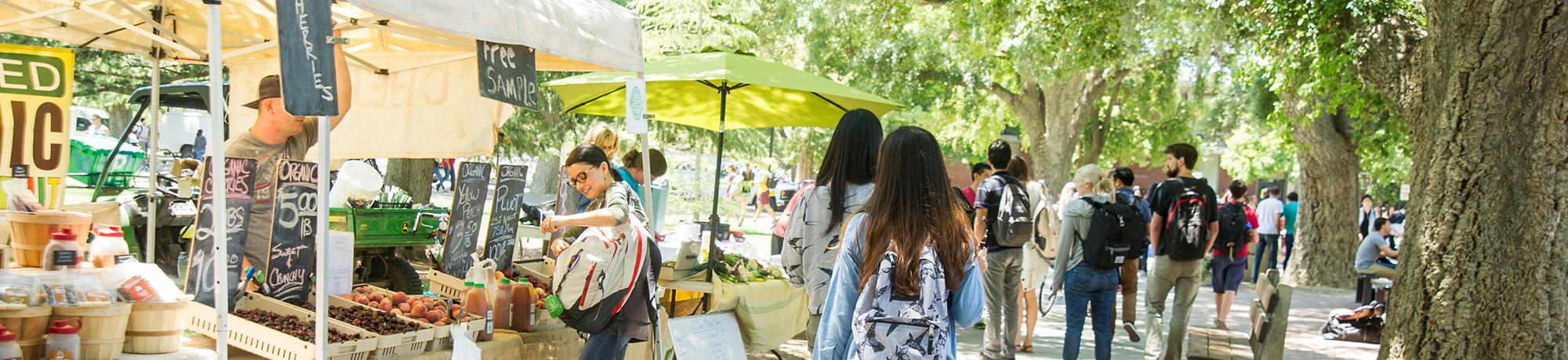 Image of UC Davis Farmers Market.