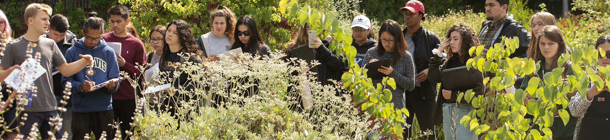 uc davis landscape architecture students in class outdoors
