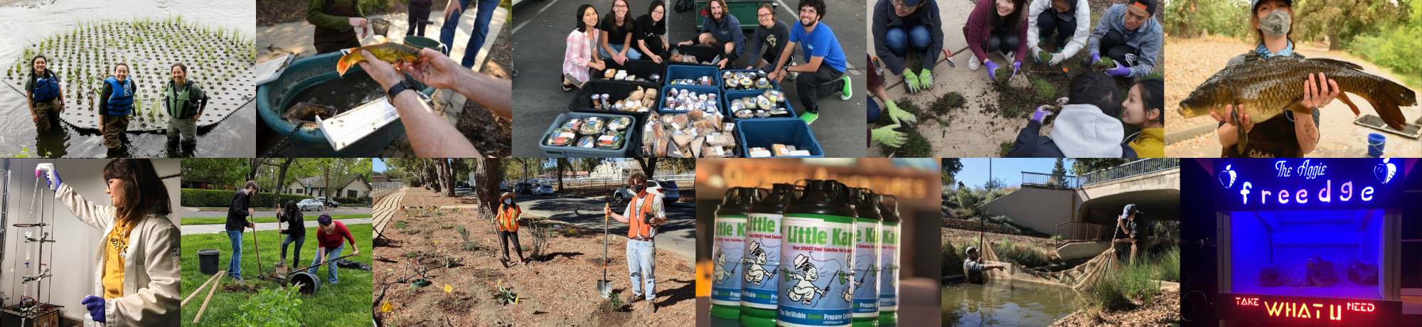 photos of TGIF programs