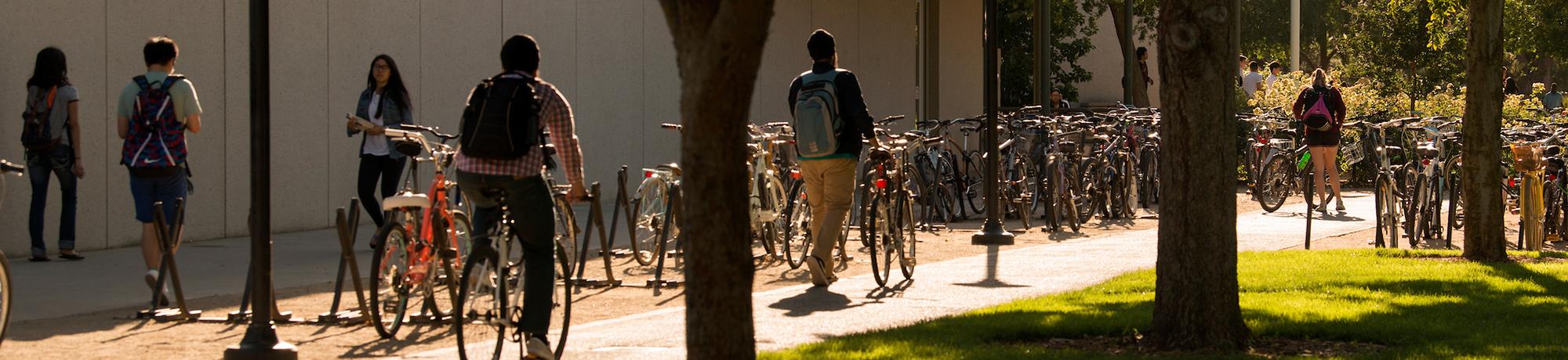 Image of UC Davis bicyclists at sundown.