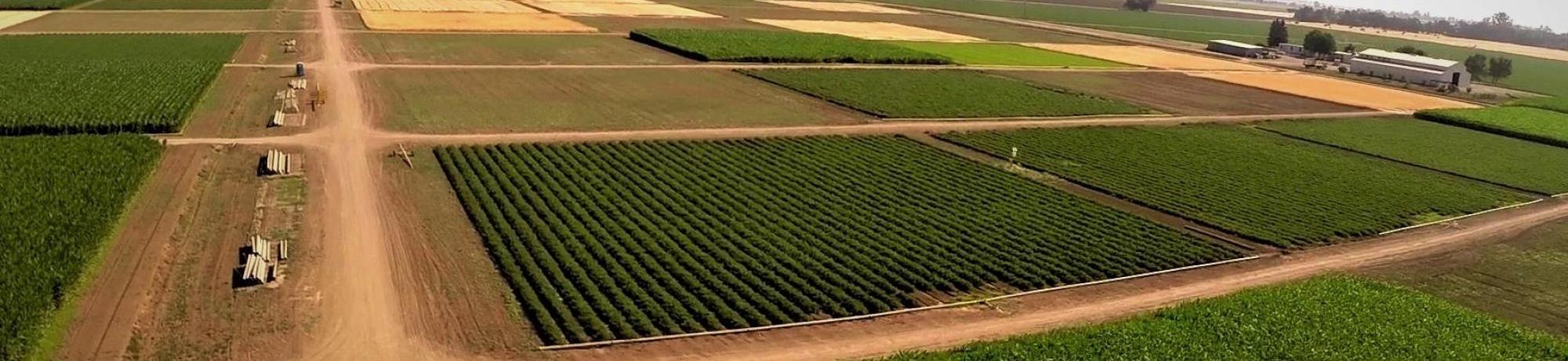 Image of UC Davis Russell Ranch.
