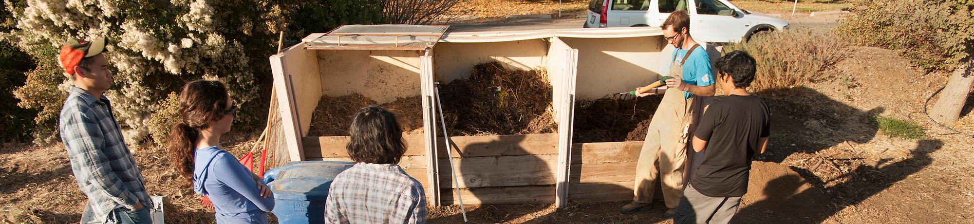 Image of UC Davis Student Farm compost bins.